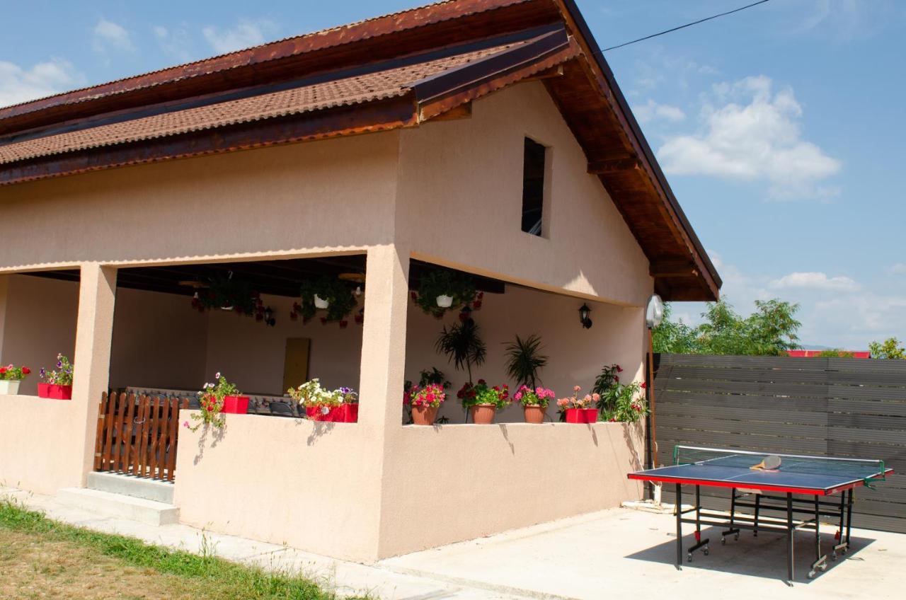 Pensiunea Aly Bumbesti Pitic Exterior photo